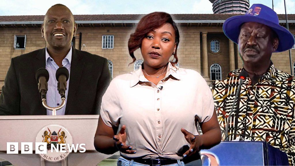 Kenya elections 2022: What is the Supreme Court petition process?