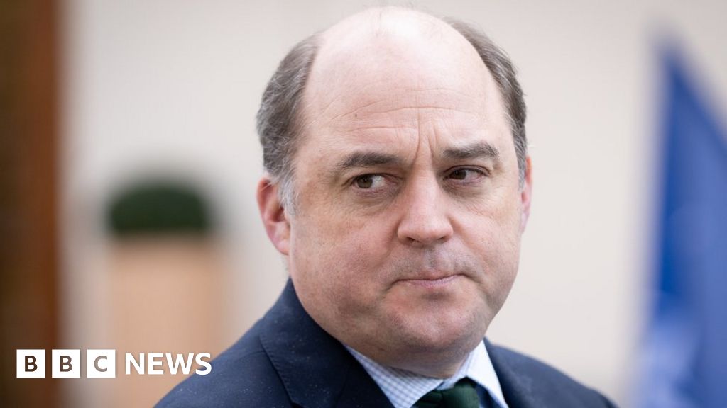 Man posing as Ukraine PM spoke to defence secretary Ben Wallace