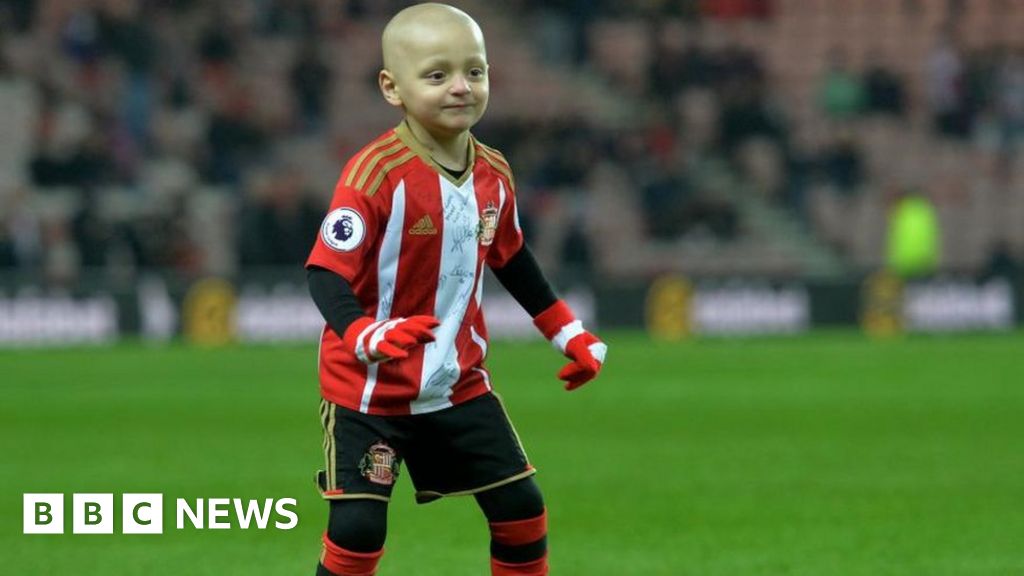 Bradley Lowery: Man charged over 'taunt' at Sheffield Wednesday match
