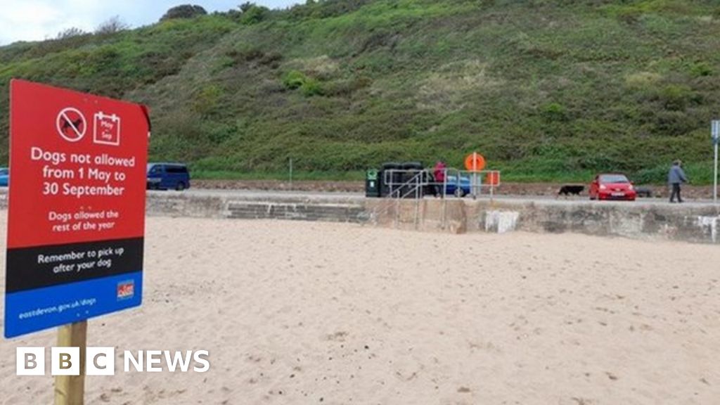 East Devon District Council seeks views on changes to beach rules BBC