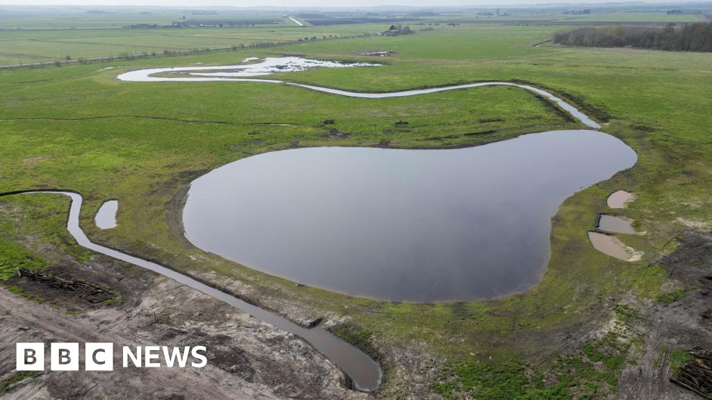 Wildlife arriving at newly created wetland