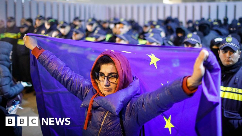 Protesters clash with police after Georgia shelves EU bid