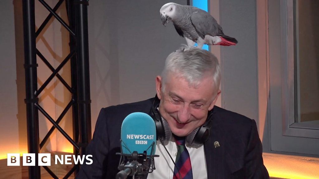 Commons speaker ruffles Boris' feathers on Newscast