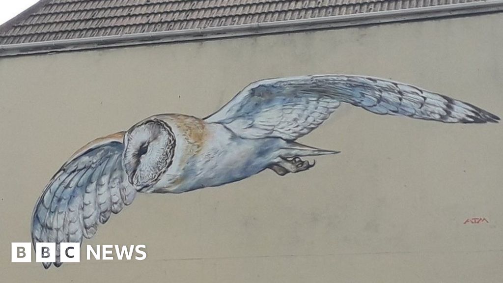 Lowestoft Street Artist Atm Creates Barn Owl Mural Bbc News