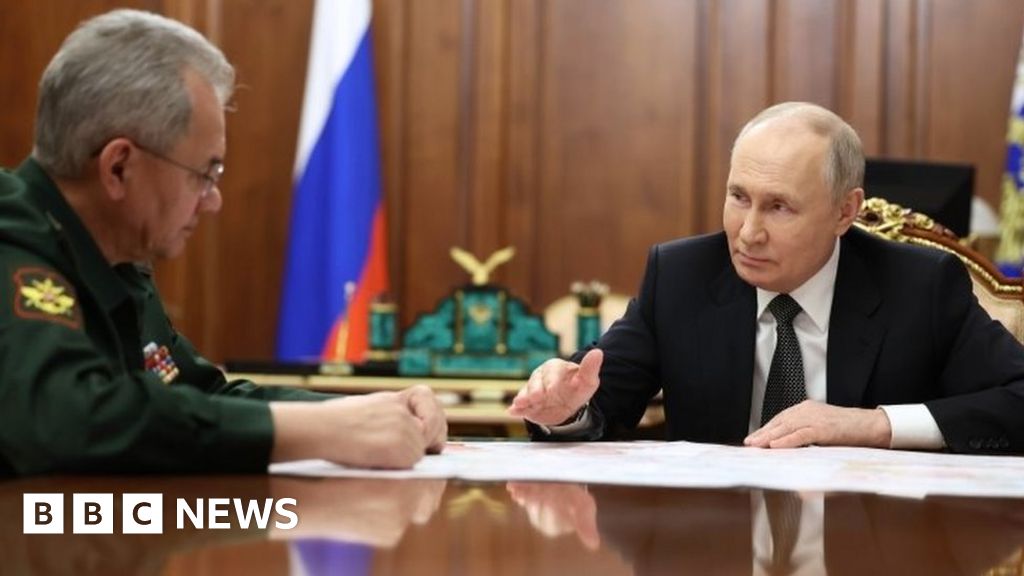 Руският президент Владимир Путин каза че Москва е категорично против
