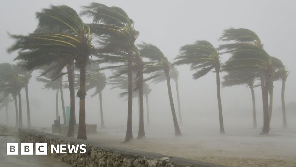 Storm Threats To Florida And Gulf Coast - BBC News