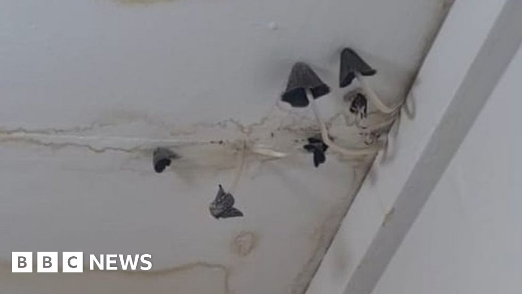 Hackney housing: 'We had mushrooms growing from the ceiling'