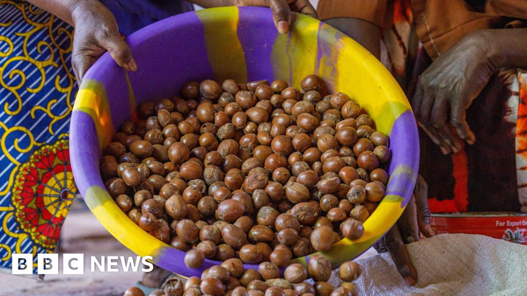 Nigeria bans export of shea nuts used in beauty creams for six months