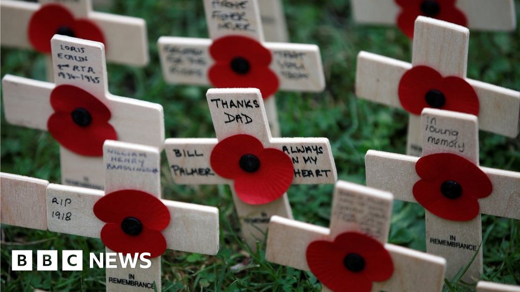 Armistice Day: Nation gathers for commemorations