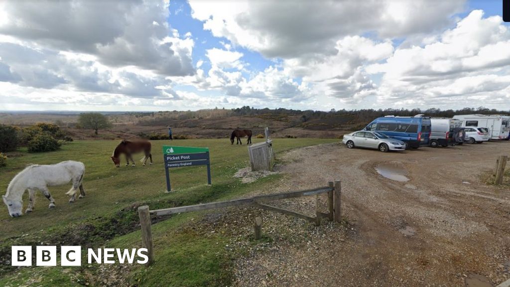 Four people accused of posing as police in New Forest village 