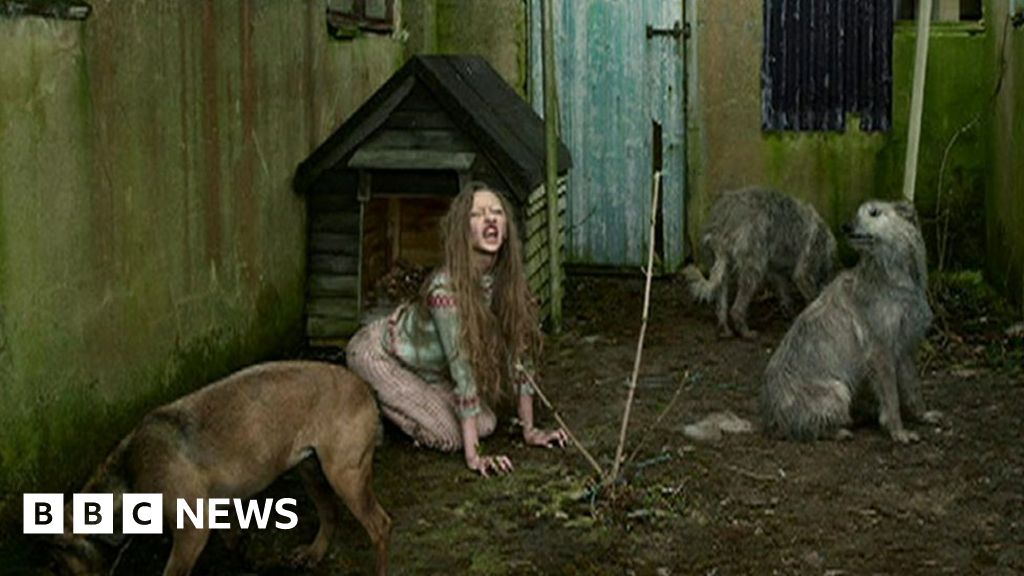Tales of feral children grip the imagination BBC News