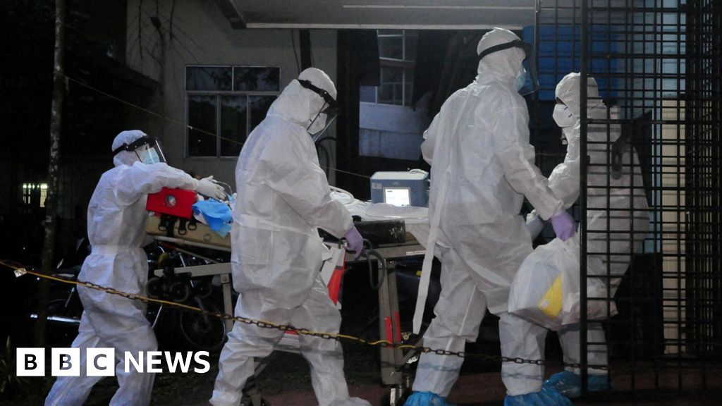 Guernsey will monitor Nipah virus situation