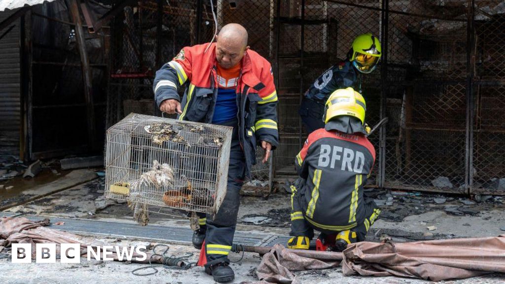 Пожар на известния пазар в Банкок уби 1000 животни