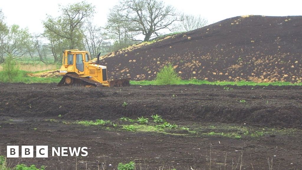 Climate change: England’s gardeners face peat compost ban