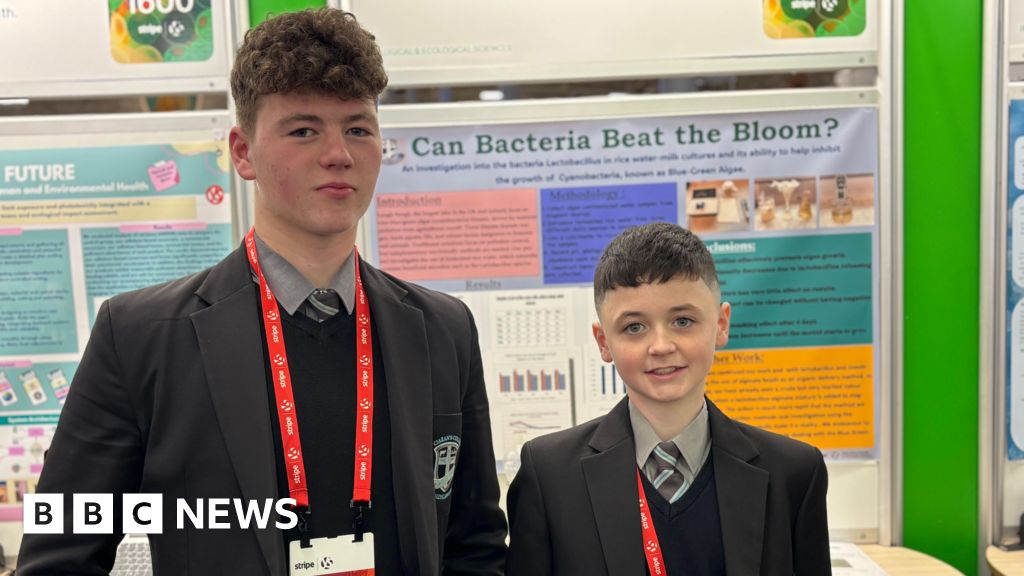 Young Scientist: County Tyrone students' solution to clean up Lough Neagh