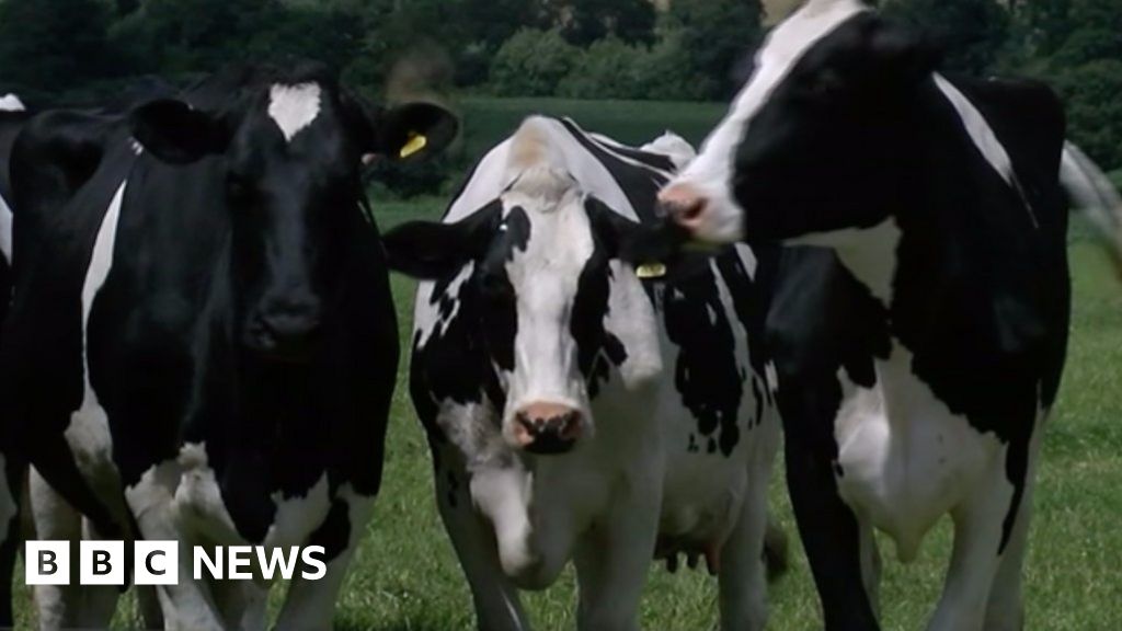 One in 10 dairy farms close across England and Wales BBC News