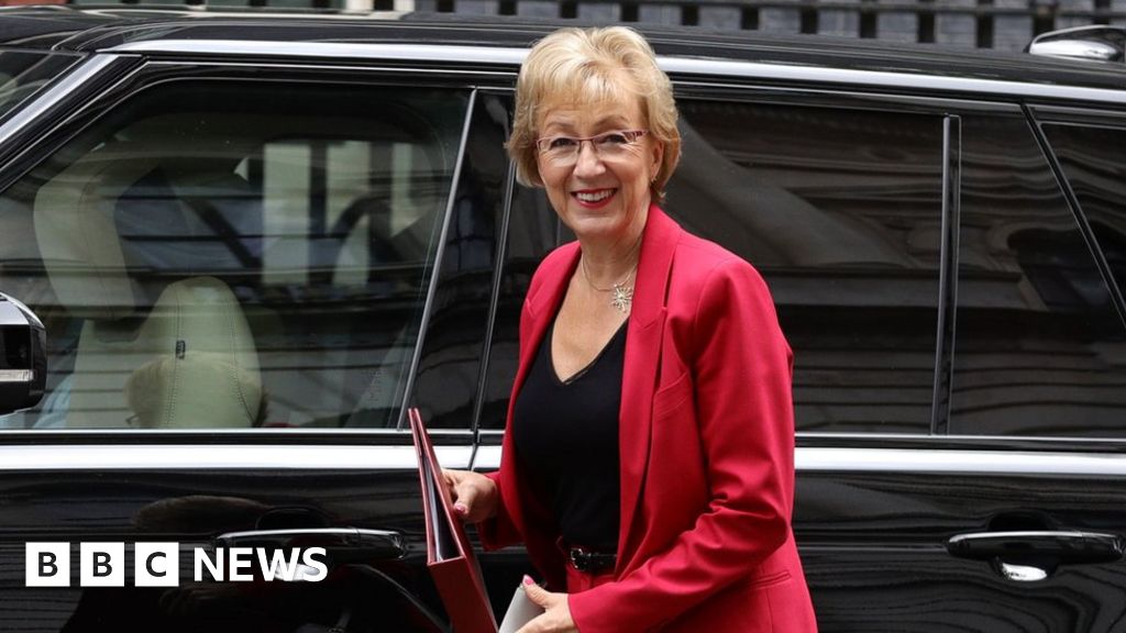 Uk Power Cut Andrea Leadsom Launches Government Investigation Bbc News 