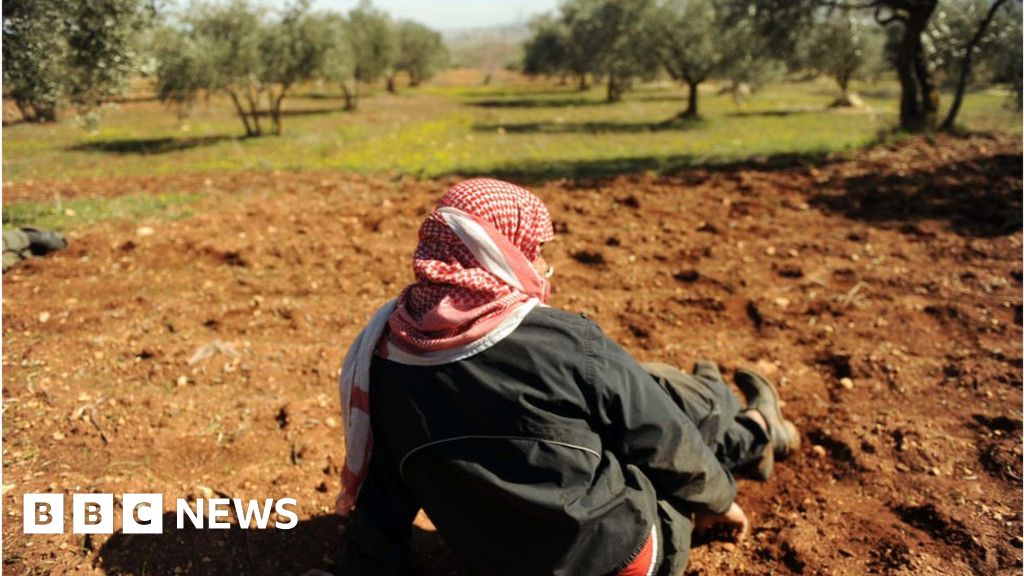 Idlib before the war: Carpets, olives and handcrafts