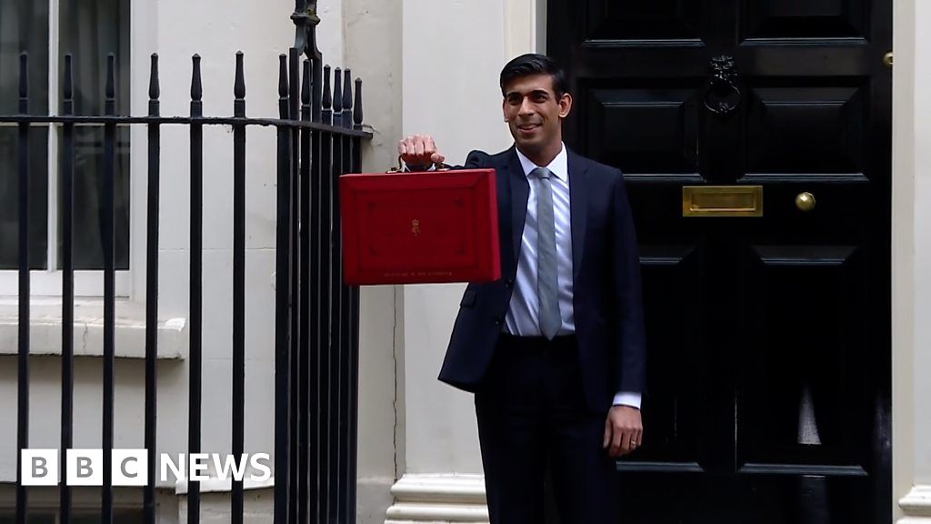 Budget 2020 Government Lays Out Economic Plan To Combat Covid 19