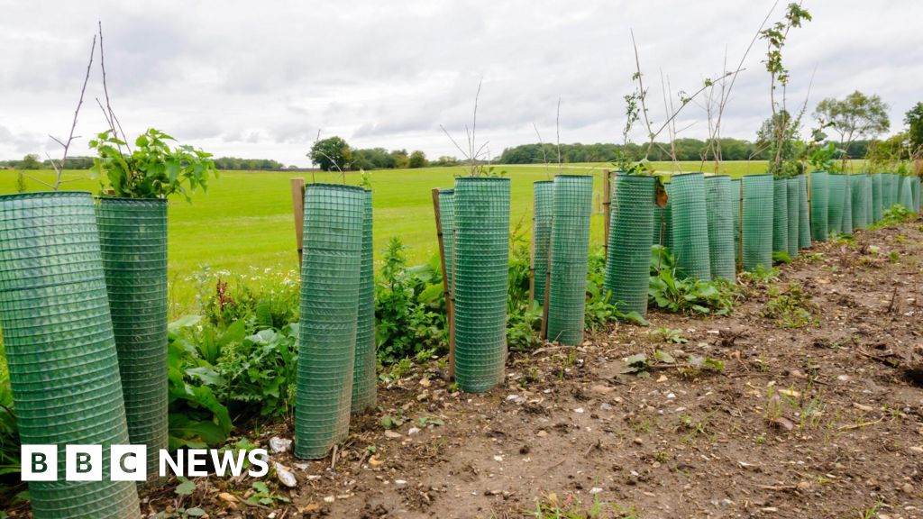 New woodland to be planted in north Devon estate