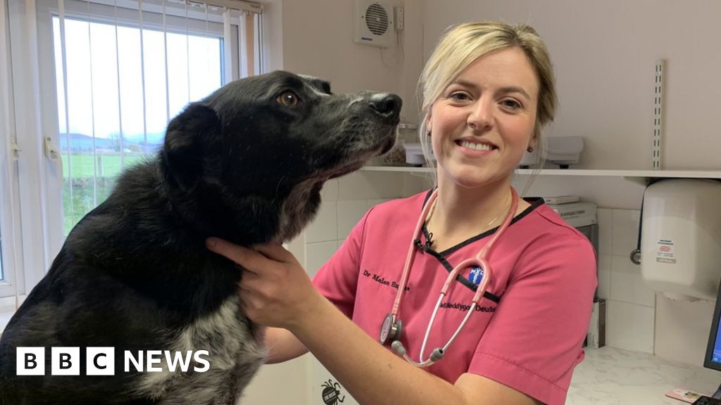 Vet jobs 'unfilled because of long hours and low pay'