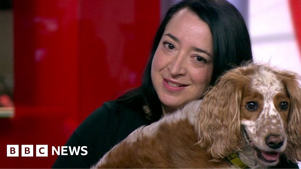 Daniel the Spaniel 'picks up on emotions' - BBC News