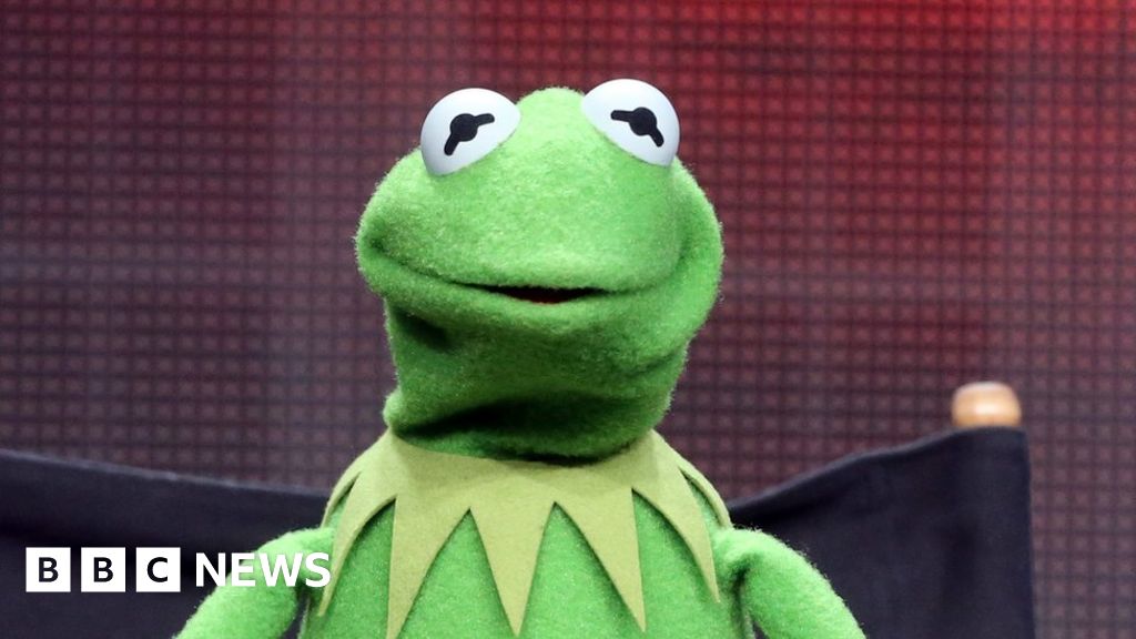 Why Kermit The Frog Memes Are So Popular According To Science c News