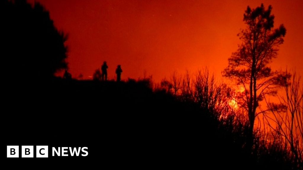 Firefighters battle to extinguish final Madeira fires BBC News