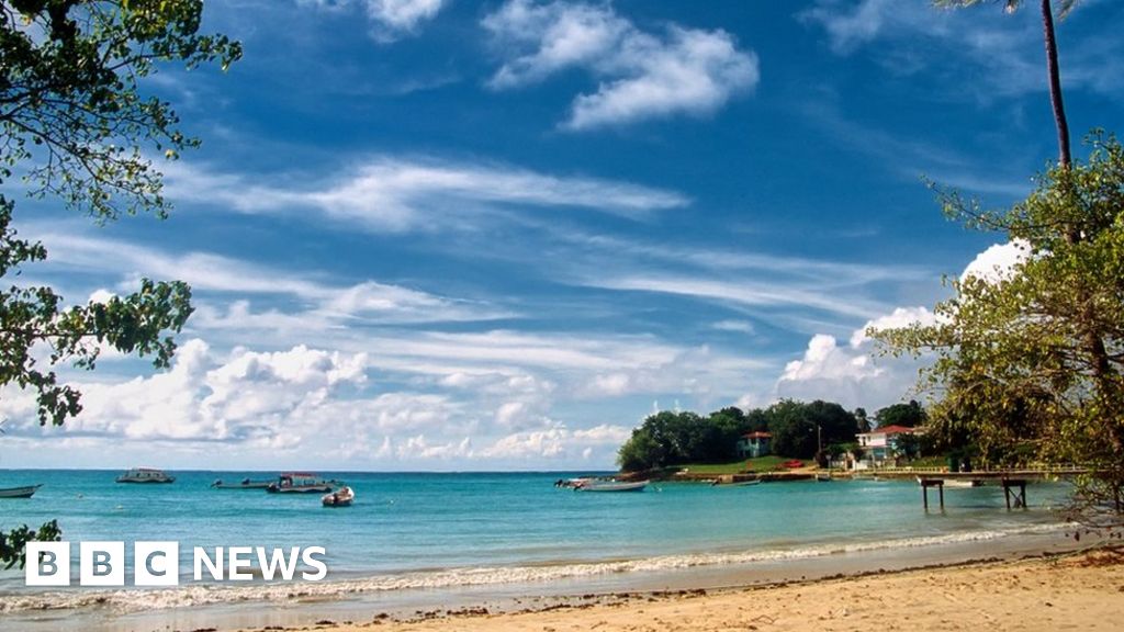 British Tourist Attacked by Shark in Trinidad and Tobago, Prompting Beach Closures