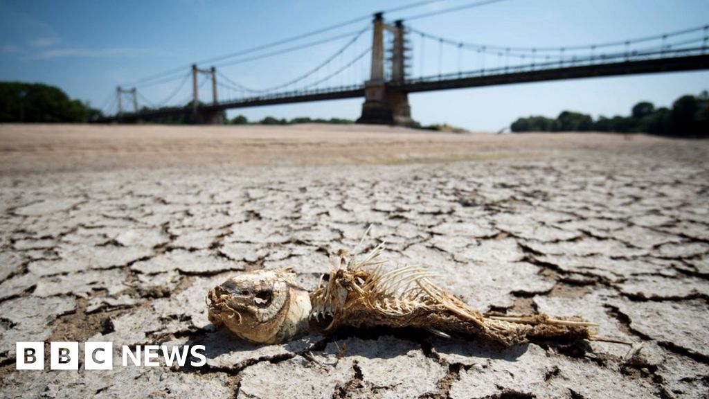 Hundreds of temperature records broken over summer - BBC News