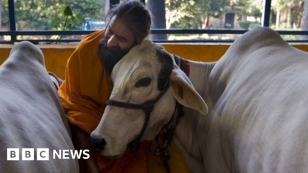 India Hindus Modi urges action against cow vigilantes BBC News
