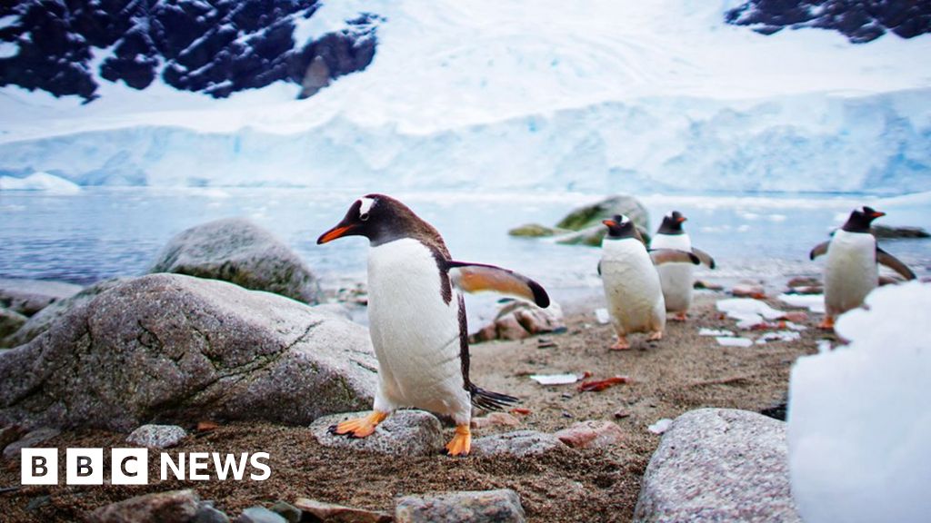 Antarctica: A journey to the edge of a frozen continent