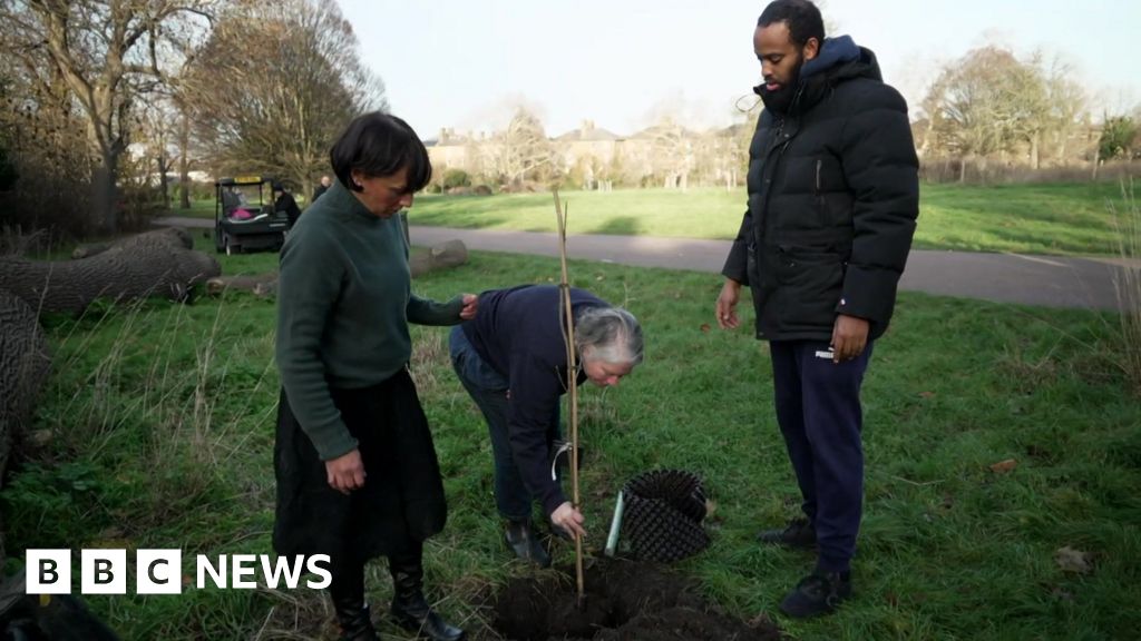 Sycamore Gap sapling planted as knife crime tribute
