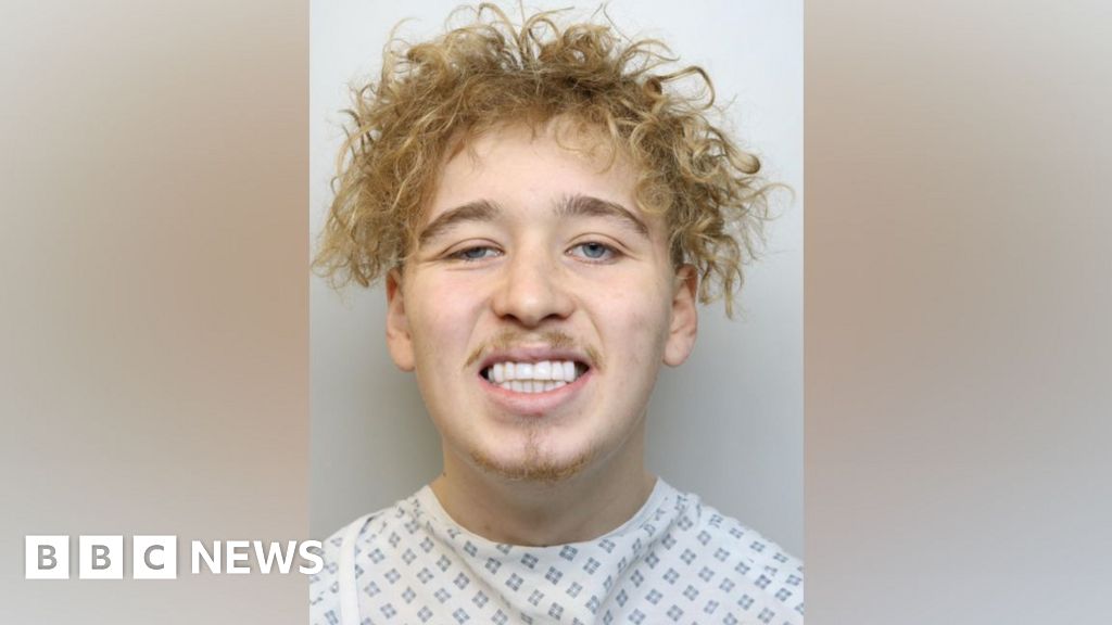 'Violent thief' admits robberies on trains