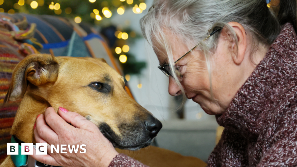 Dog rehomed after three years due to BBC coverage