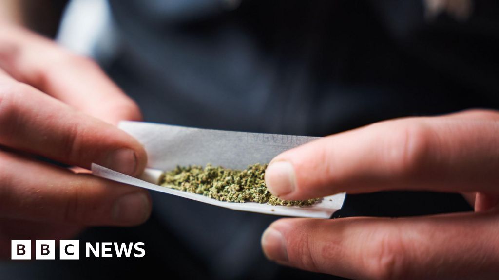 bbc.co.uk - Charis Scott-Holm - Over &pound;700k of cannabis plants found in Grimsby warehouse