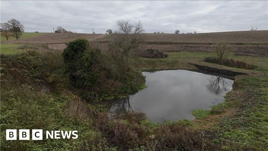 Hundreds of 'lost ponds' restored on Essex farms