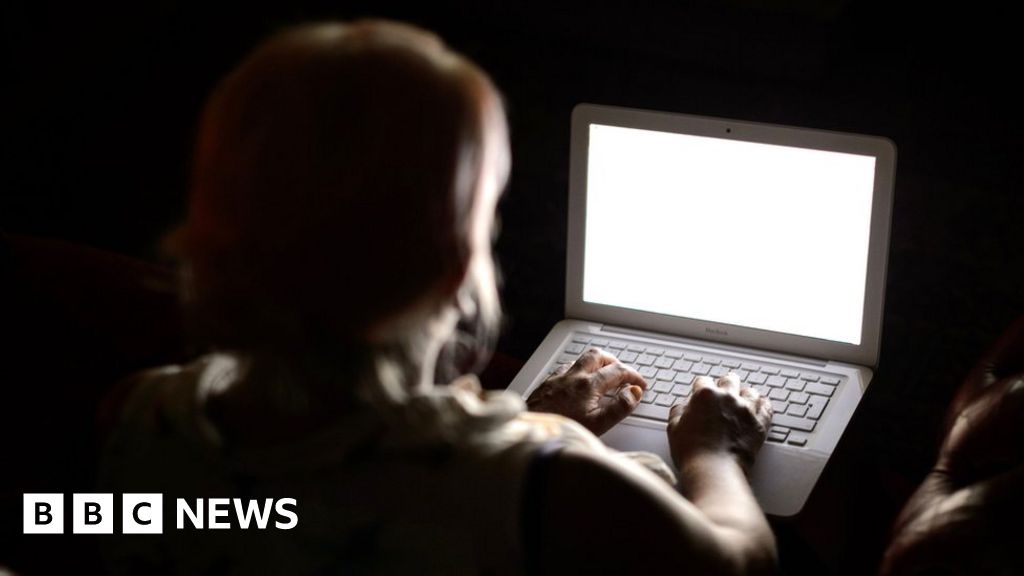 A woman looks at a computer screen
