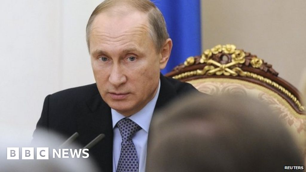 Sinai plane crash Russia's Vladimir Putin suspends Egypt flights BBC