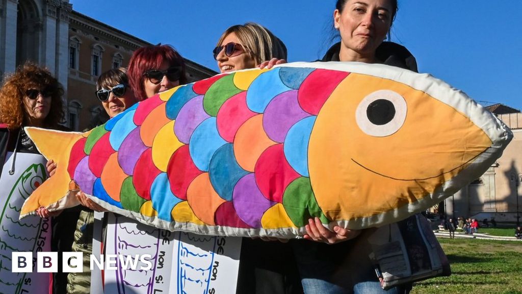 Matteo Salvini: 'Sardines' pack in for Rome protest