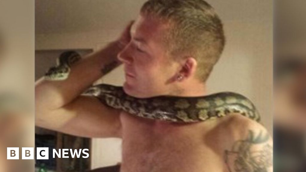 Video: Deputies looking for the owner of pet snake, News