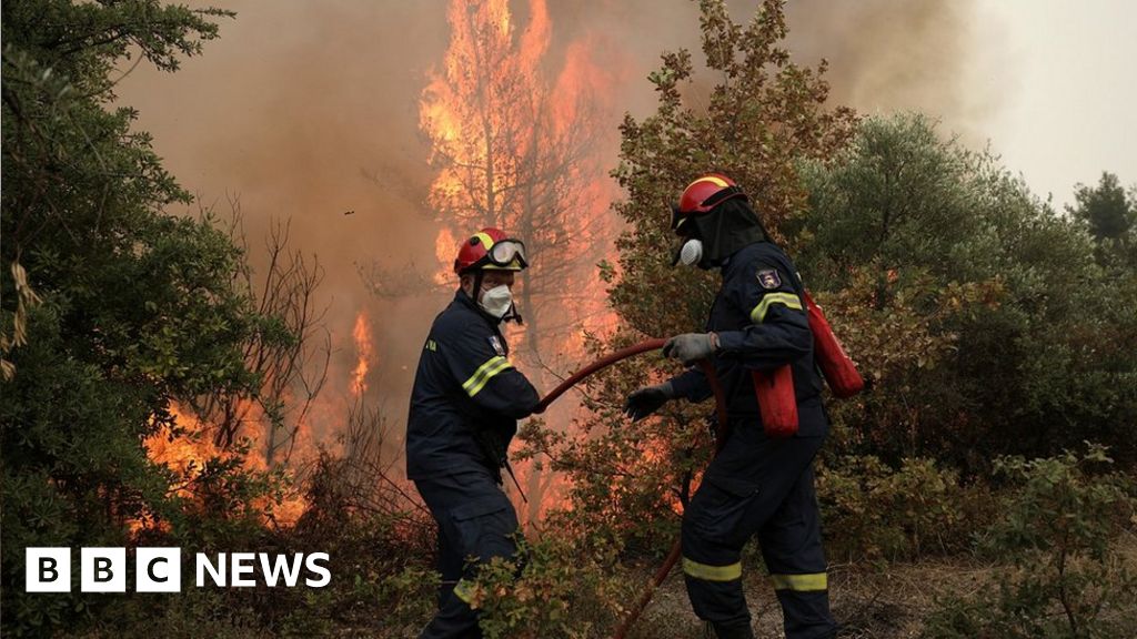 Greece fires: Foreign teams join battle on Evia island