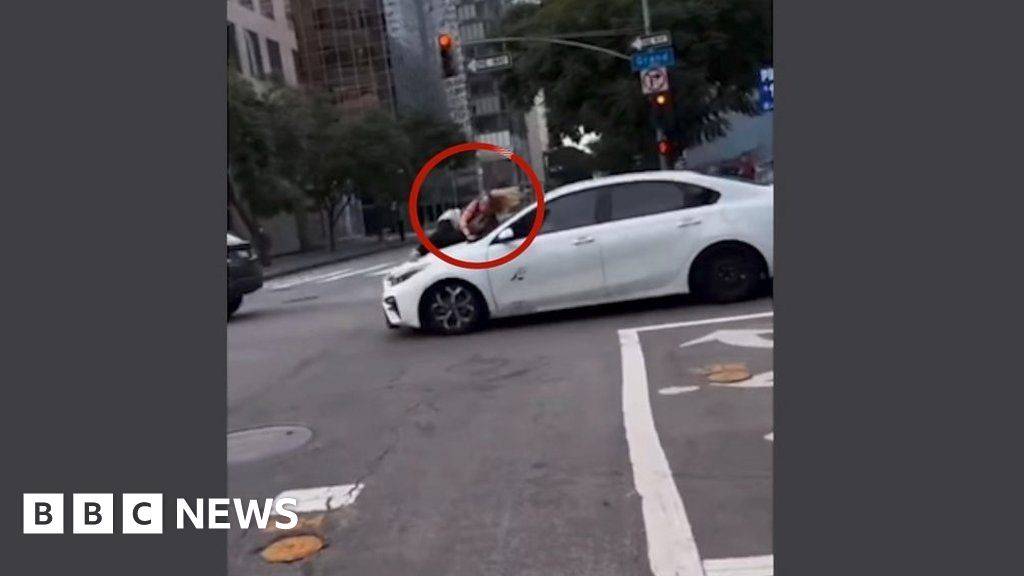 Woman clings to speeding car with stolen dog inside