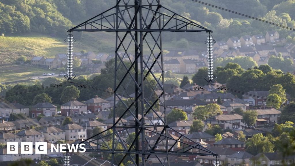 Give cash to households in path of new pylons, government urged