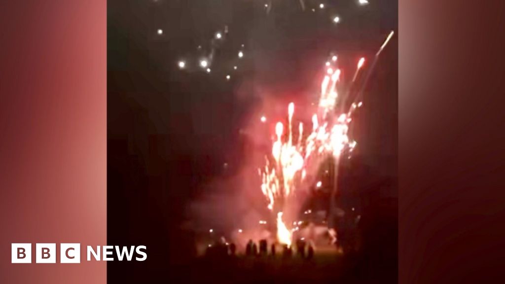 Fireworks display kills pet rabbit and causes fire in Reading