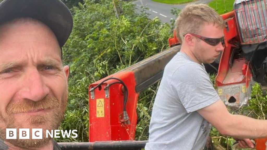 Sycamore Gap accused thought it was 'just a tree'