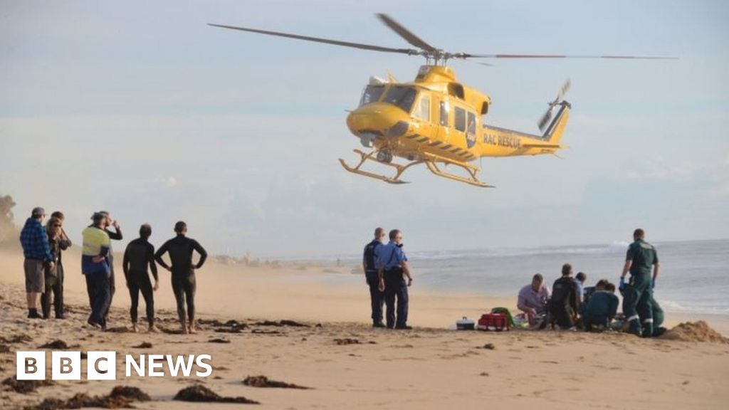 Shark bites off Australian surfer's leg BBC News