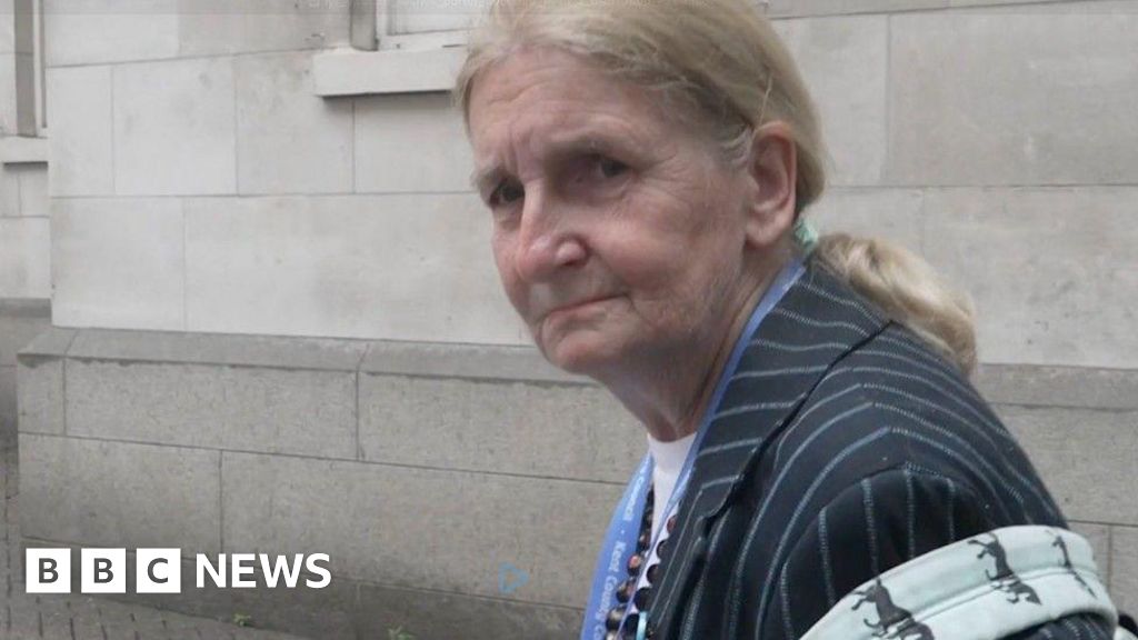 IVF a 'lifestyle choice', says Reform councillor