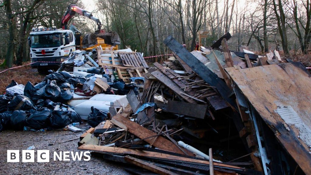 Staff clear massive fly-tip pile from ancient wood