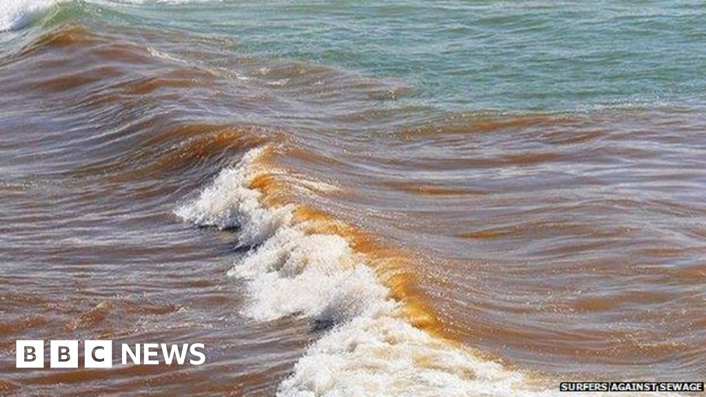 Image result for sewage on uk beaches Pinterest